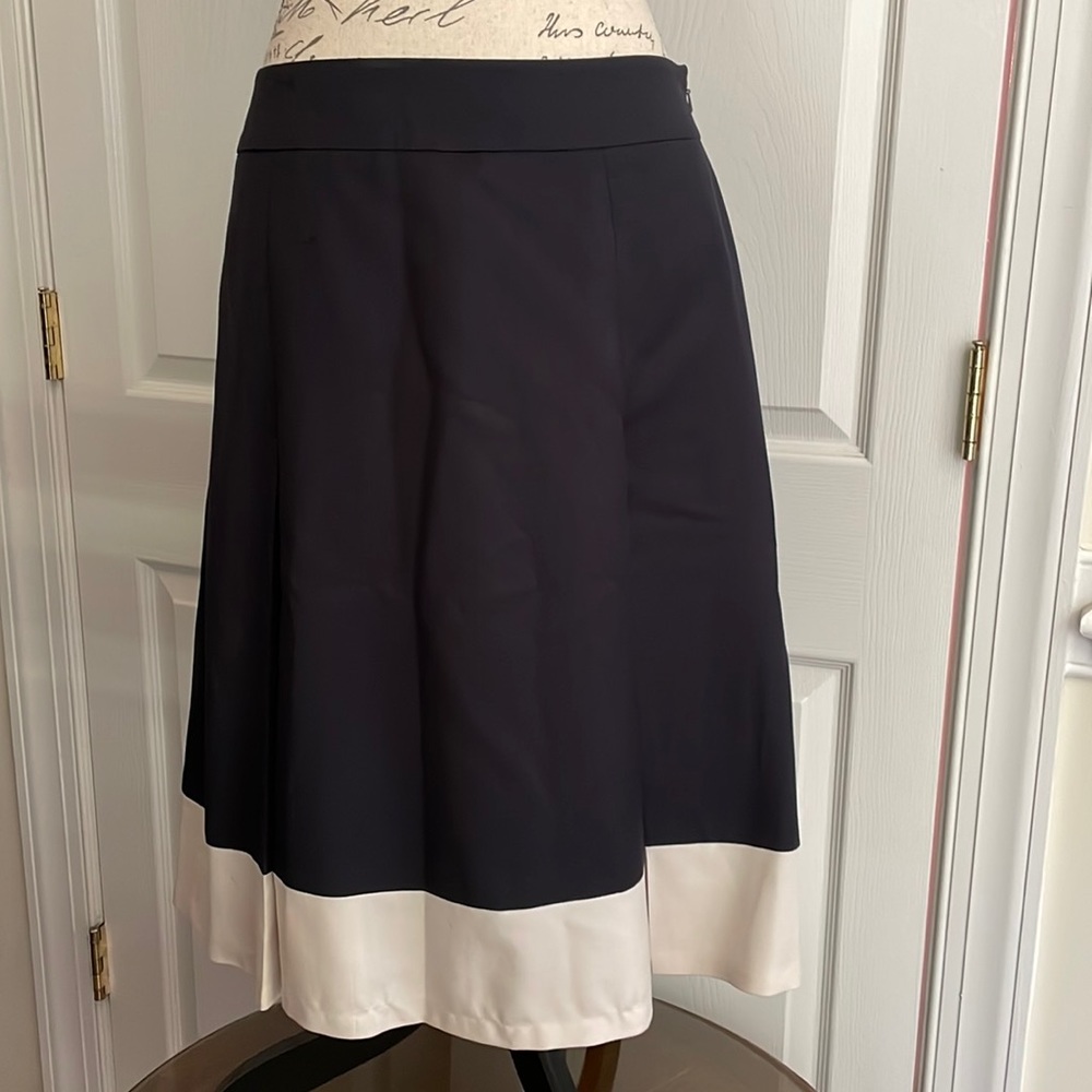 Ann Taylor skirt 3